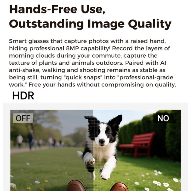 M02 Ultra 8MP Camera AI Smart Glasses Photochromic Lenses, with Black Charging Case, with Brown Charging Case