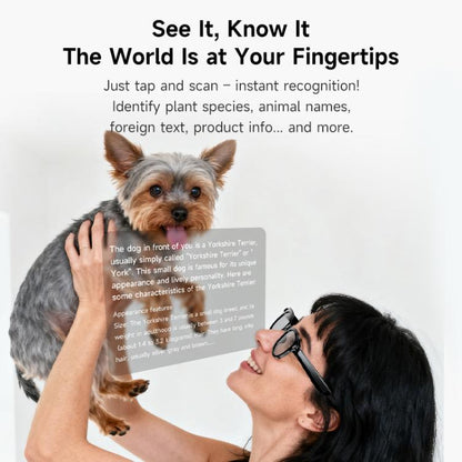 M89 2MP AI Smart Glasses Support Bluetooth Call, AI Intelligent Voice Assistant