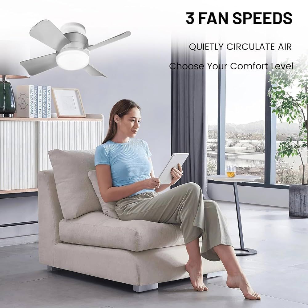 Socket Fanlight with Remote Control