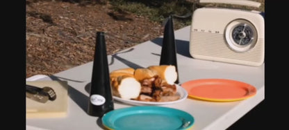 Automatic Fly Repellent Fan – Battery Operated